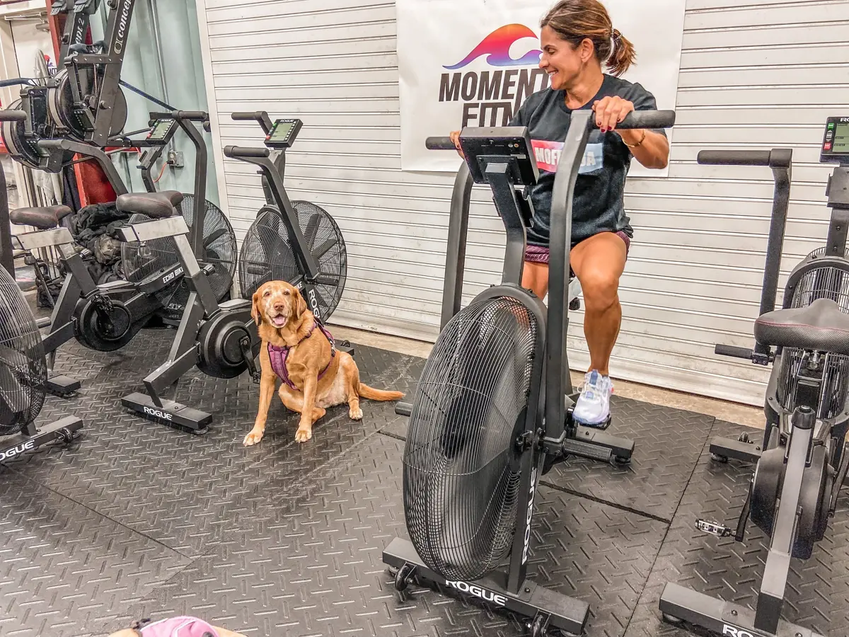 A coach on the bike while the gym dog supervises