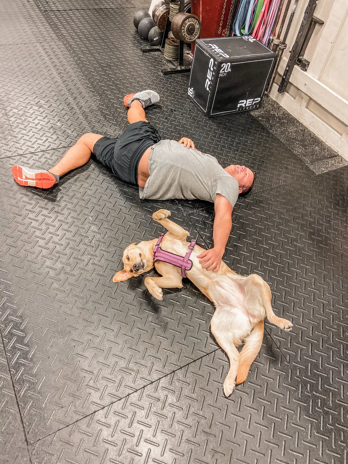 The gym dog napping next to a member after the workout