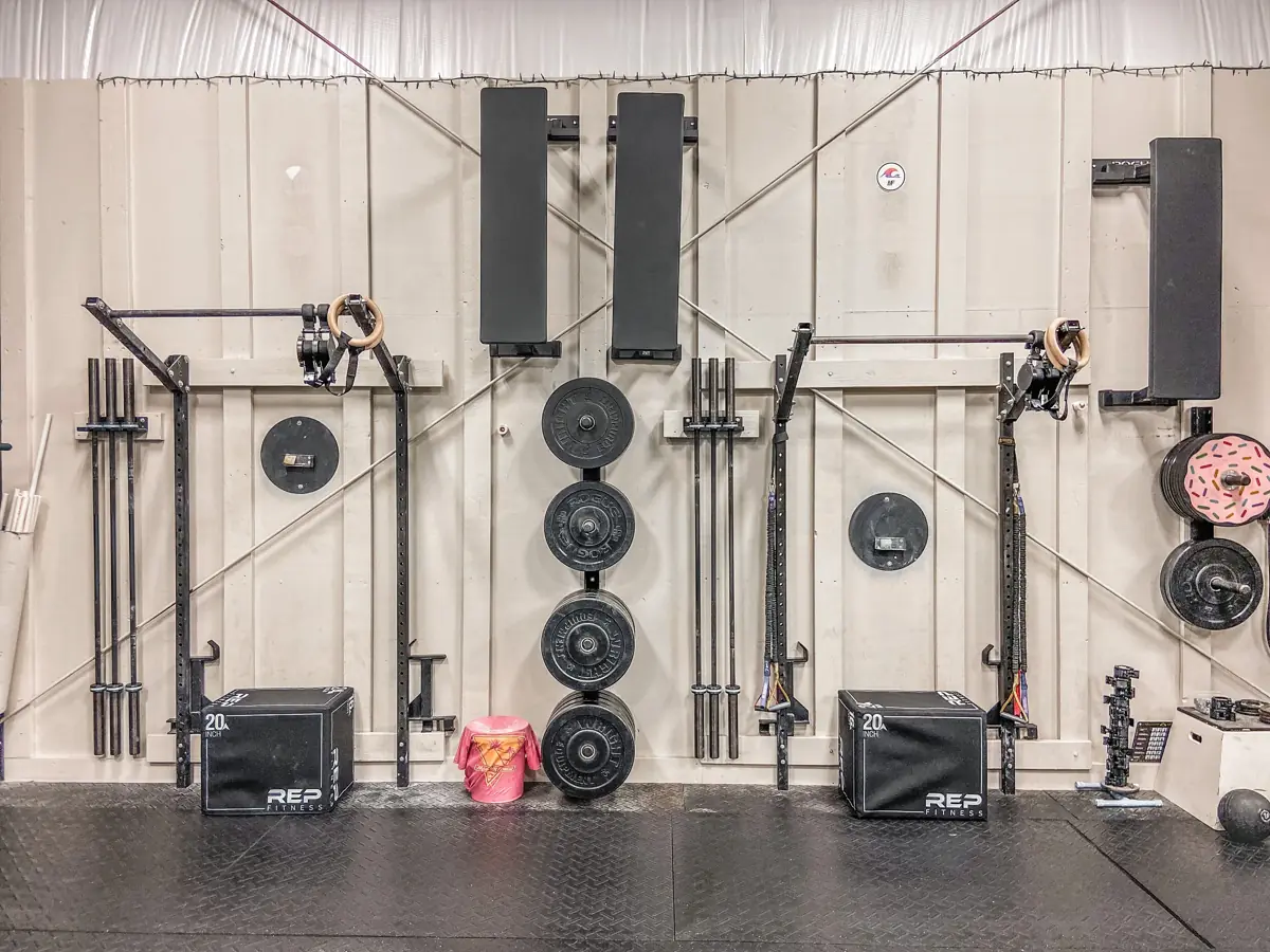 The pull-up rig and plates
